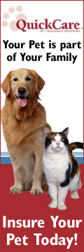 Dog Pet Health Insurance